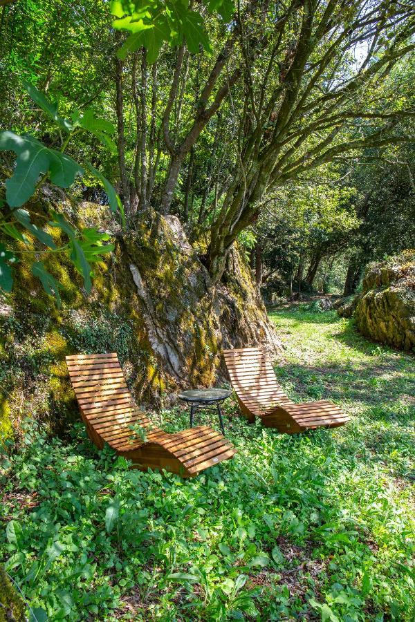 Vibe Luxury Cabins Arnuero Eksteriør bilde